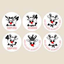 Afbeelding in Gallery-weergave laden, Sticker Rendier